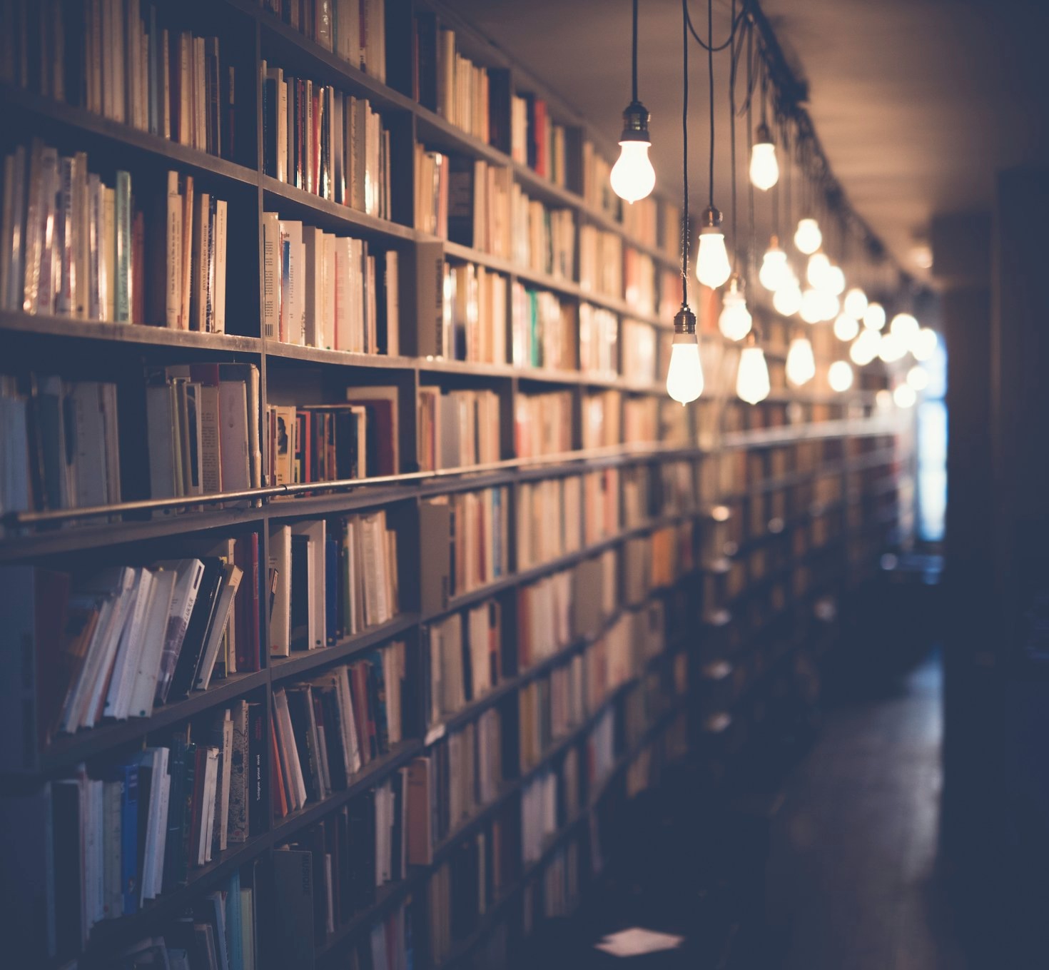 The Role of Interdisciplinary Studies in Complexity